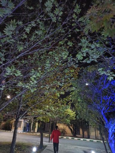 عکس دانشگاه صنعتی اراک