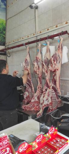 عکس پروتئین مهربان