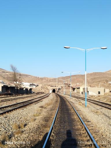 عکس گدوک