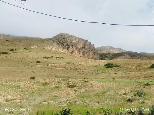 عکس گدوک