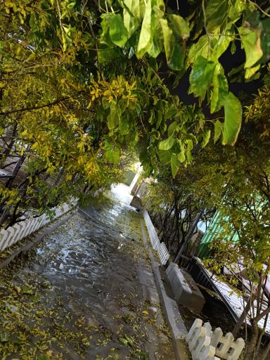 عکس سفره خانه سنتی بهارستان