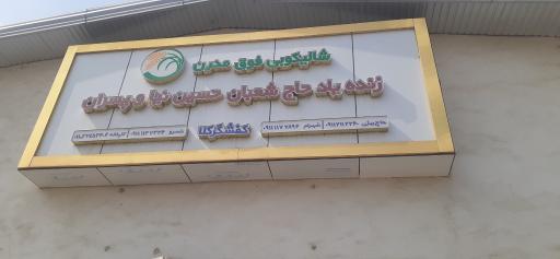 عکس شالیکوبی حسین نیا