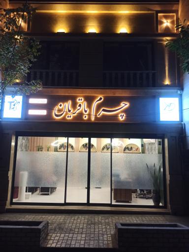 عکس چرم باقریان دکاموند