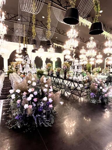 عکس باغ عمارت سناتور