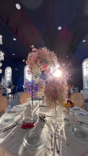 عکس باغ عمارت سناتور