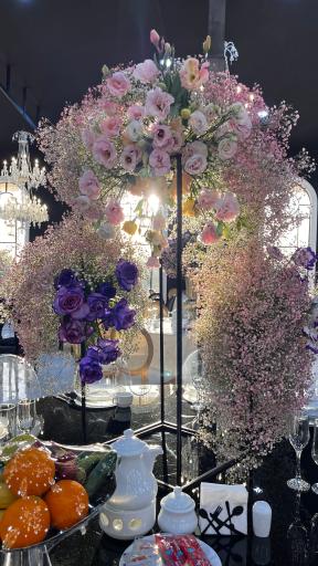 عکس باغ عمارت سناتور