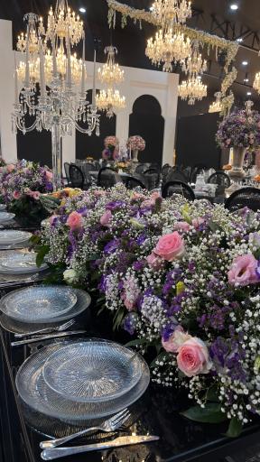 عکس باغ عمارت سناتور