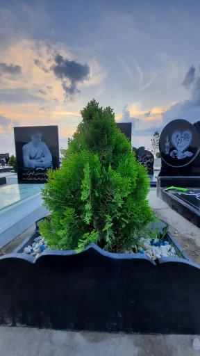 عکس مزار منصوره حسن پور