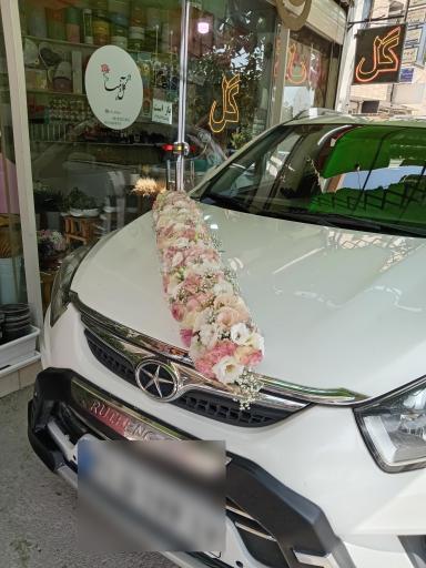 عکس گلفروشی آنیسا