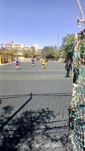 عکس چمن مصنوعی امیرکبیر