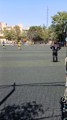 عکس چمن مصنوعی امیرکبیر