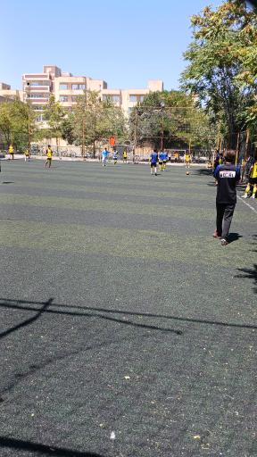 عکس چمن مصنوعی امیرکبیر