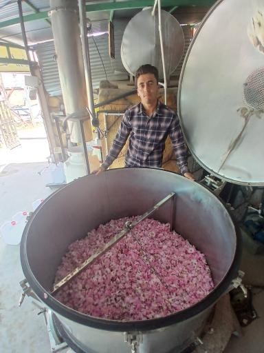 عکس کارگاه گلاب گیری بهار