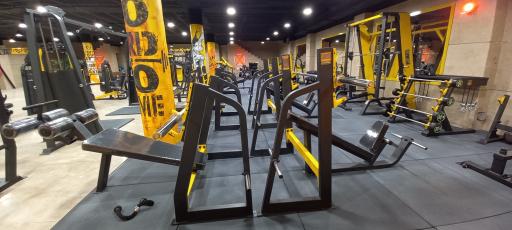 عکس باشگاه بدنسازی انیکس