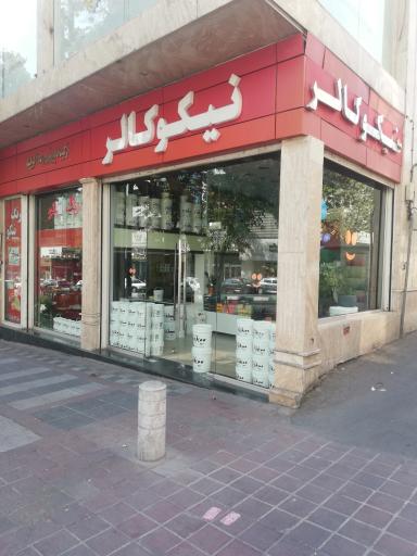 عکس رنگ نیکو 