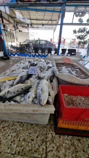 عکس بازار ماهی سیمرغ