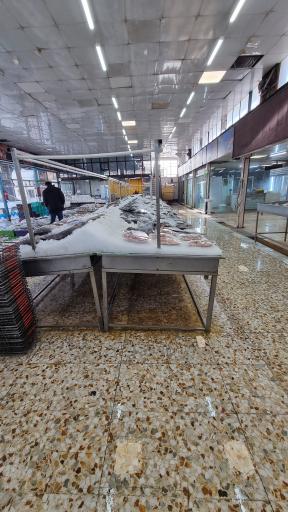 عکس بازار ماهی سیمرغ