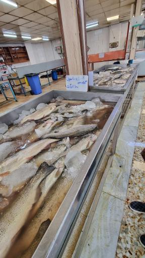 عکس بازار ماهی سیمرغ