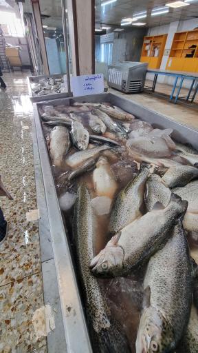 عکس بازار ماهی سیمرغ