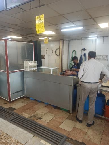 عکس بازار ماهی سیمرغ