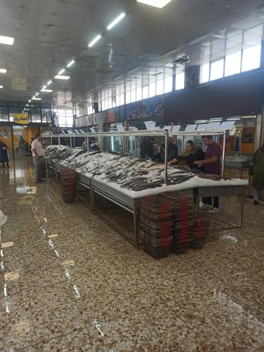 عکس بازار ماهی سیمرغ