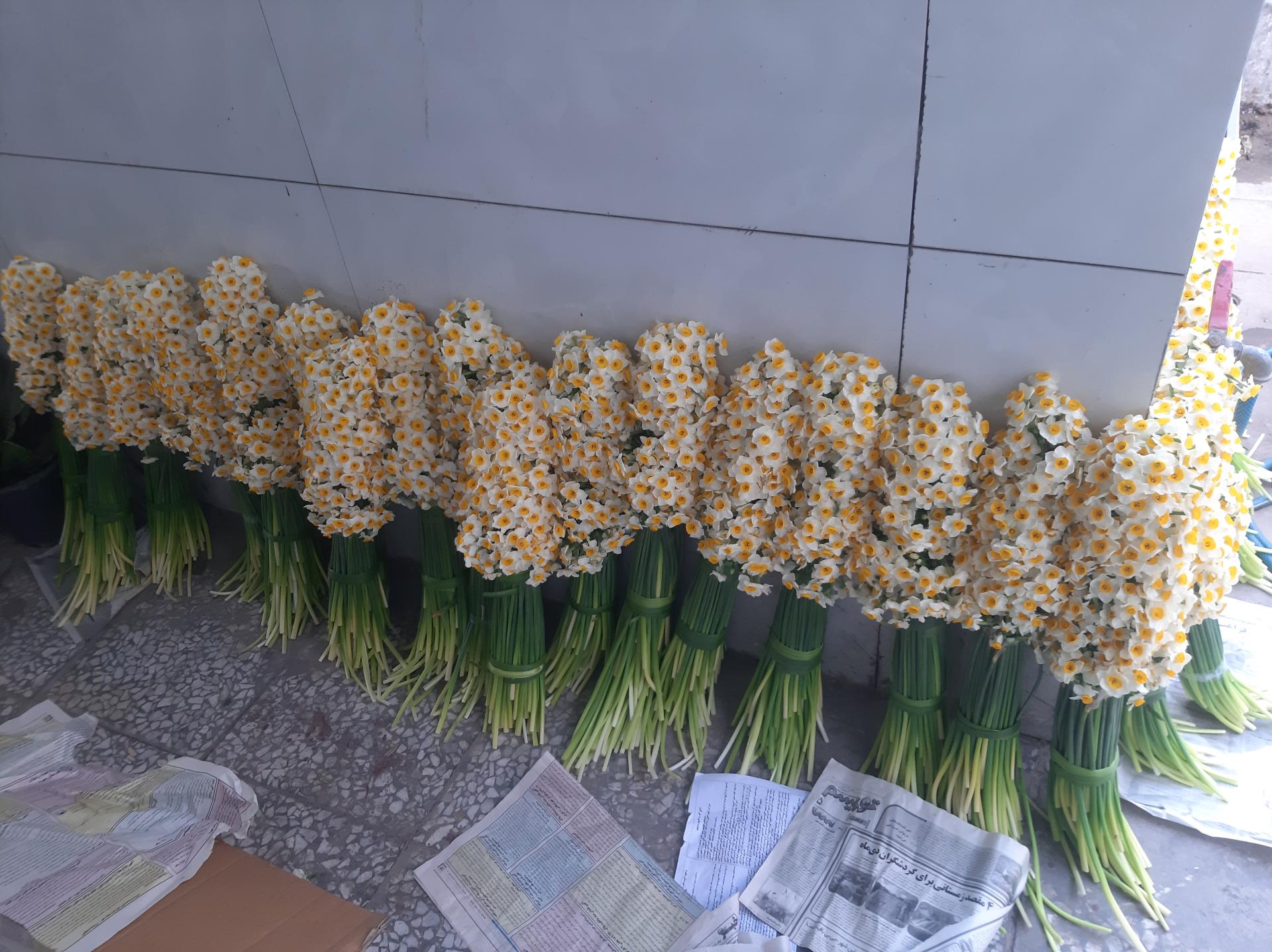 عکس گل فروشی 