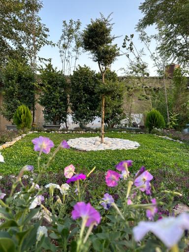 عکس گلخانه گیاه جوان