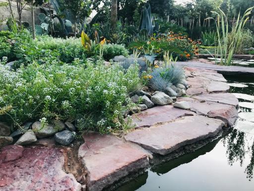 عکس گلخانه گیاه جوان