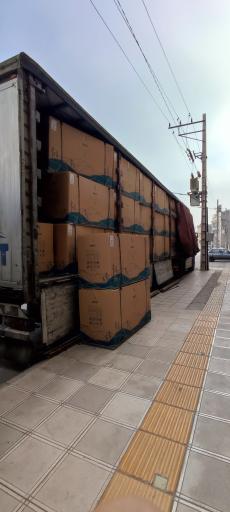 عکس پخش کیم و بستنی لگزیان