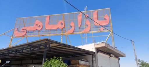 عکس بازار ماهی سیمرغ