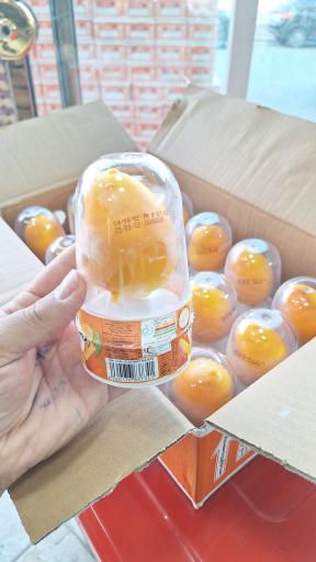 عکس پخش کیم و بستنی لگزیان