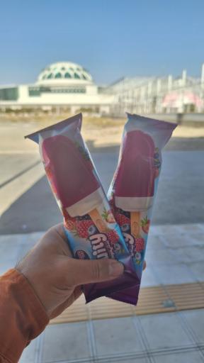 عکس پخش کیم و بستنی لگزیان