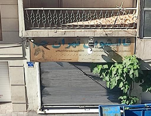 عکس قالیشویی تهران جم