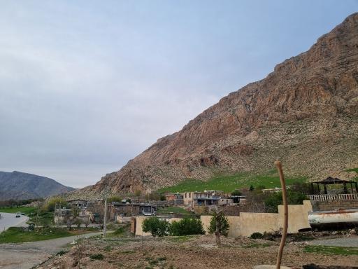 عکس برنجان