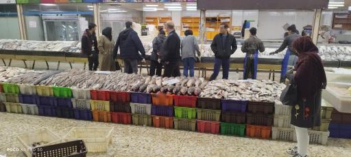 عکس بازار ماهی سیمرغ