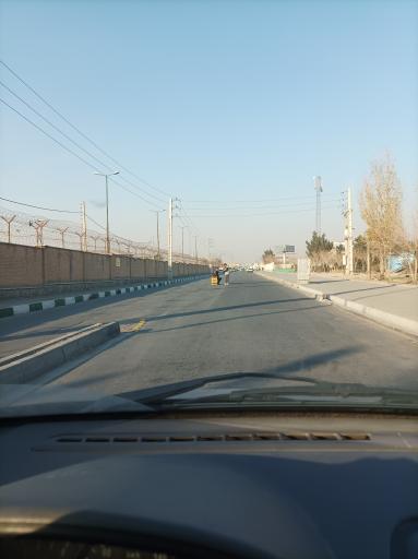 عکس بازار پرندگان خلیج فارس