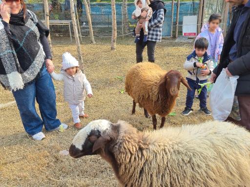 عکس سرزمین لاک پشت ها 