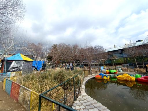 عکس سرزمین لاک پشت ها 