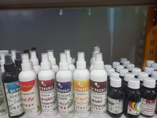 عکس فروشگاه گل آرتمیس