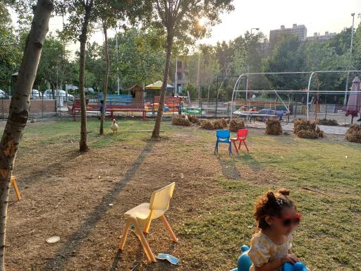 عکس سرزمین لاک پشت ها 