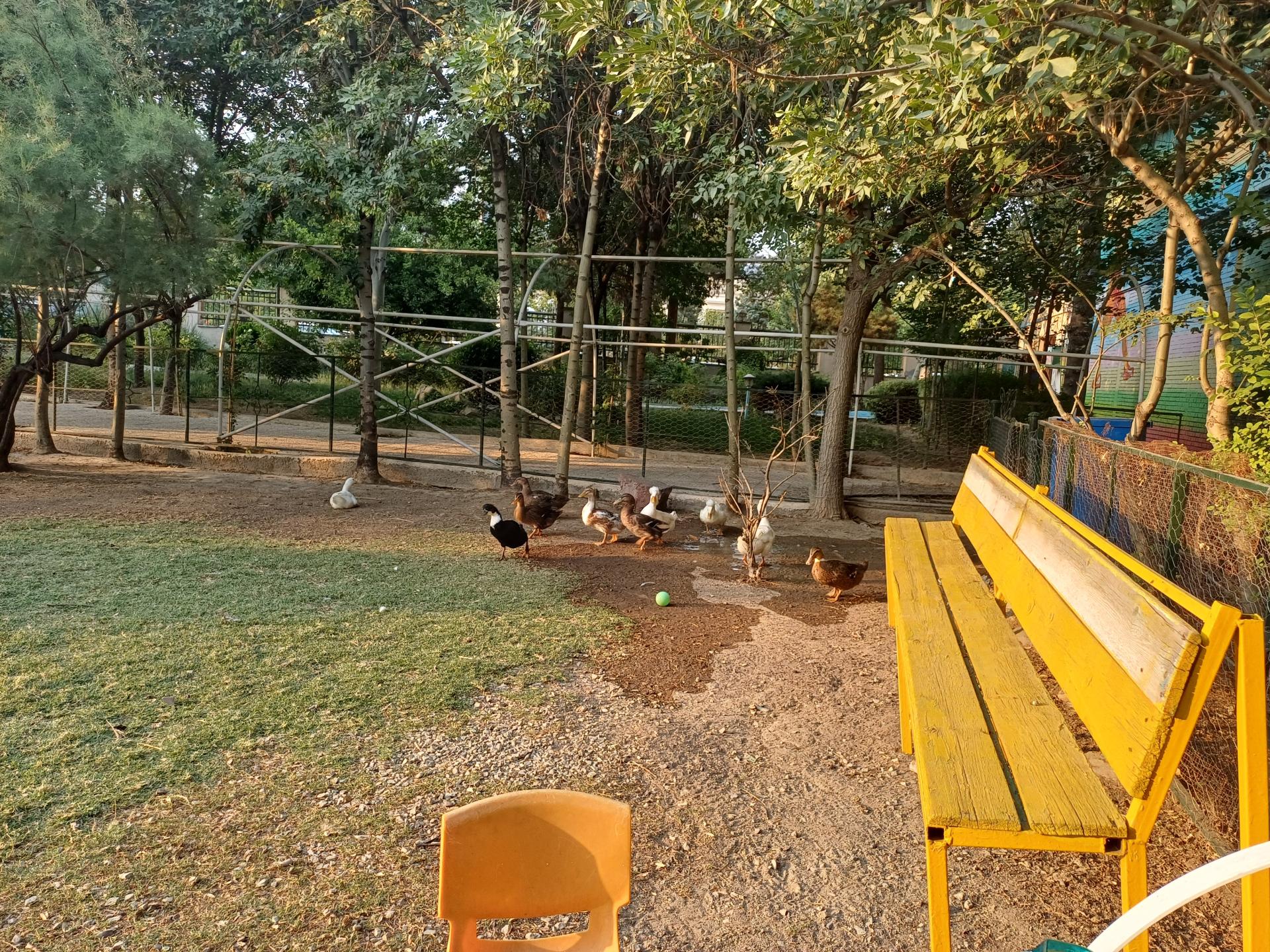 عکس سرزمین لاک پشت ها 