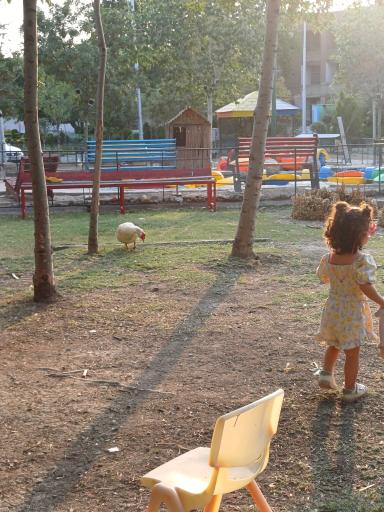 عکس سرزمین لاک پشت ها 