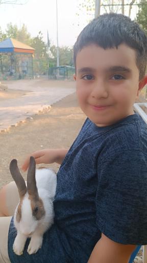 عکس سرزمین لاک پشت ها 