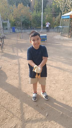 عکس سرزمین لاک پشت ها 