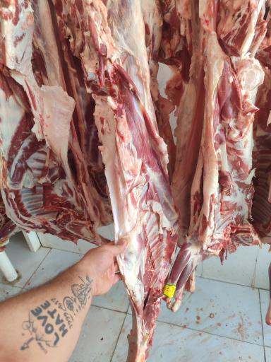 عکس سوپر گوشت محسن محمدزاده
