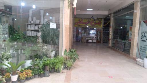 عکس بازار نیلوفر