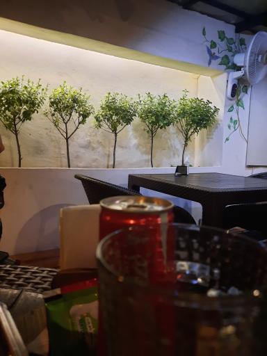 عکس کافه ژو 