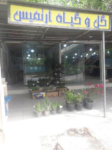 عکس فروشگاه گل آرتمیس