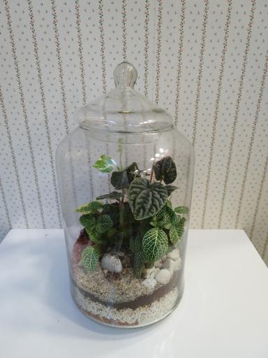 عکس گل فروشی تیانا