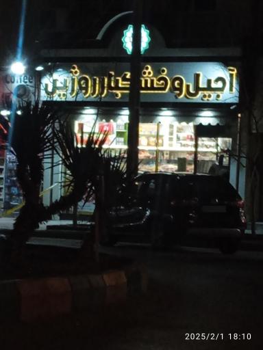 عکس آجیل روژین